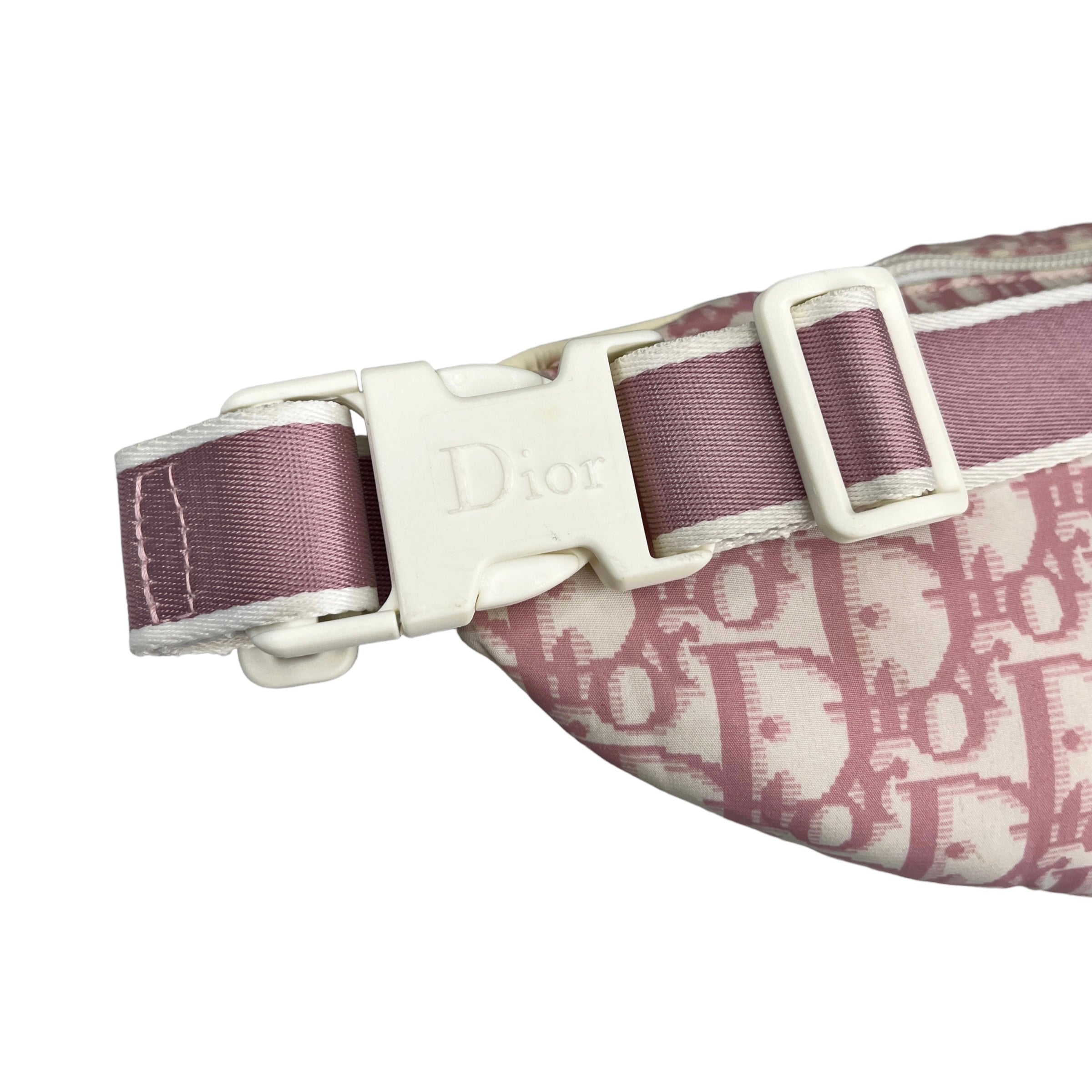 DIOR PINK TROTTER WAIST BAG