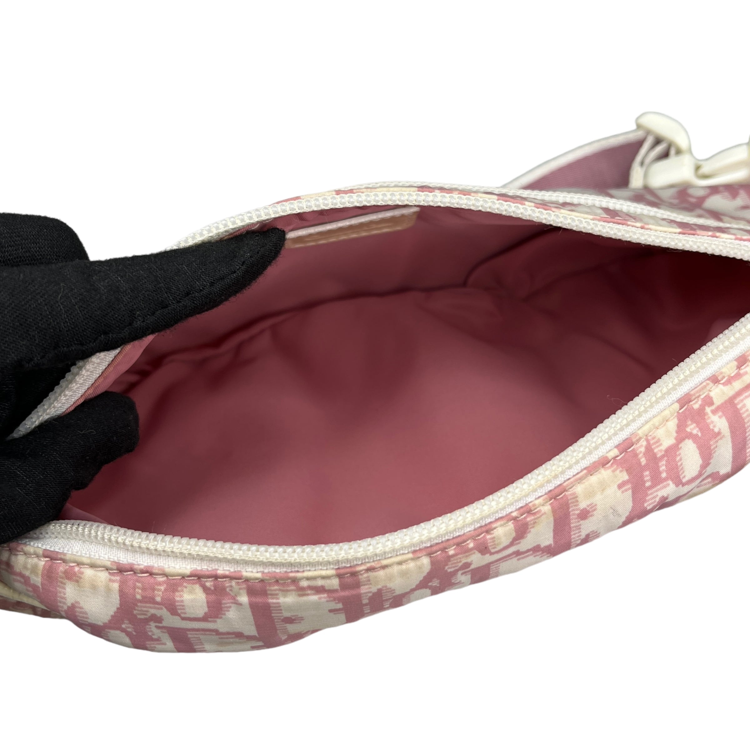 DIOR PINK TROTTER WAIST BAG