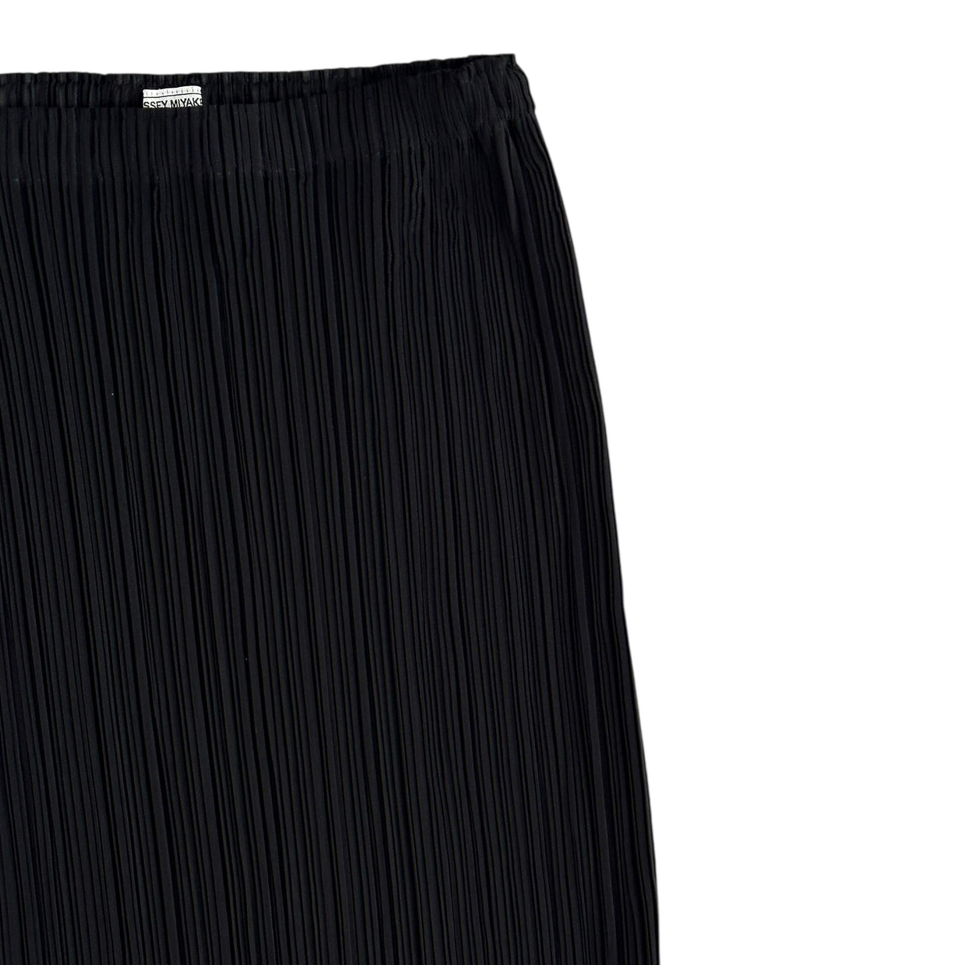(2) ISSEY MIYAKE FETE PLEATED SKIRT - BLACK