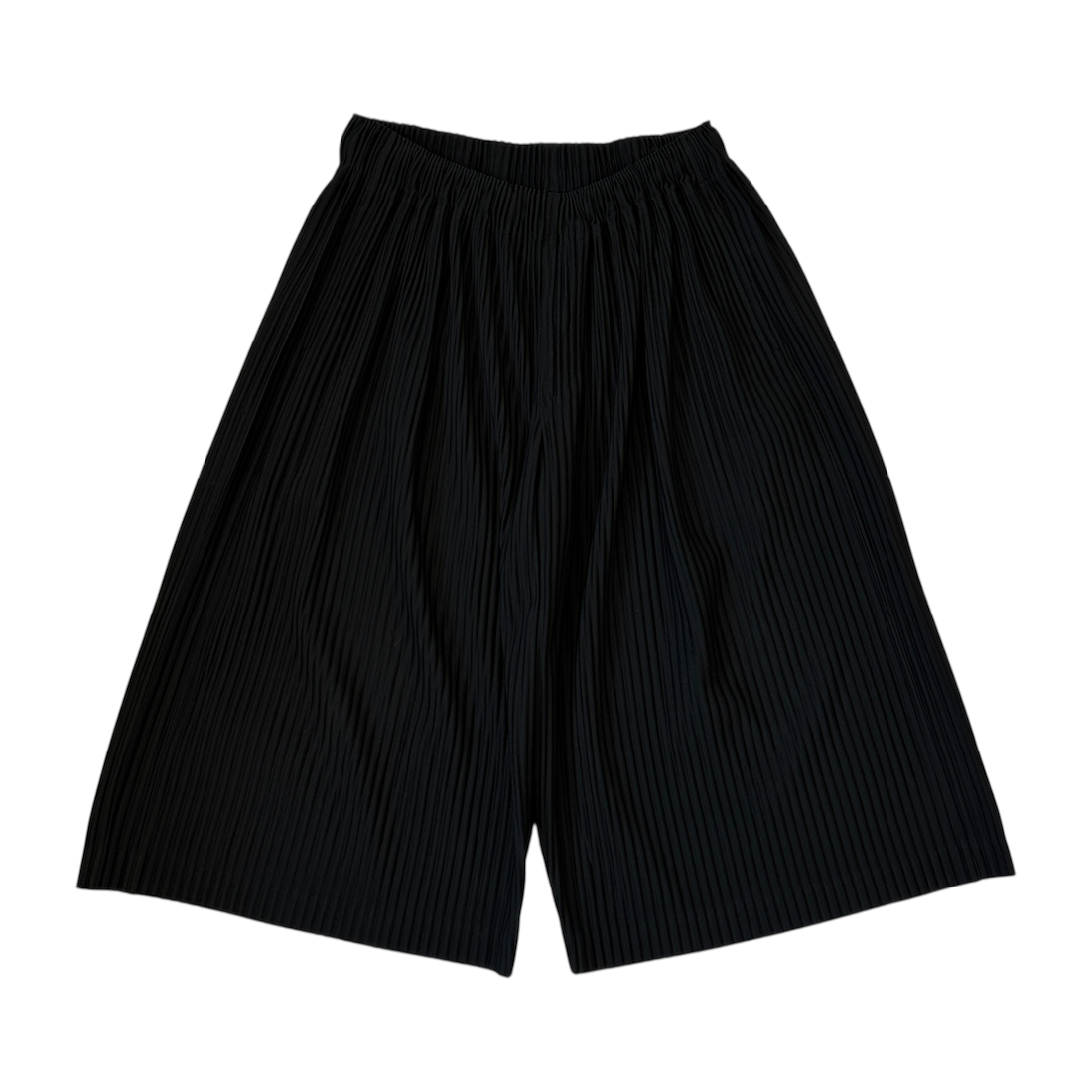 (2) ISSEY MIYAKE HOMME PLISSE WIDE SHORTS