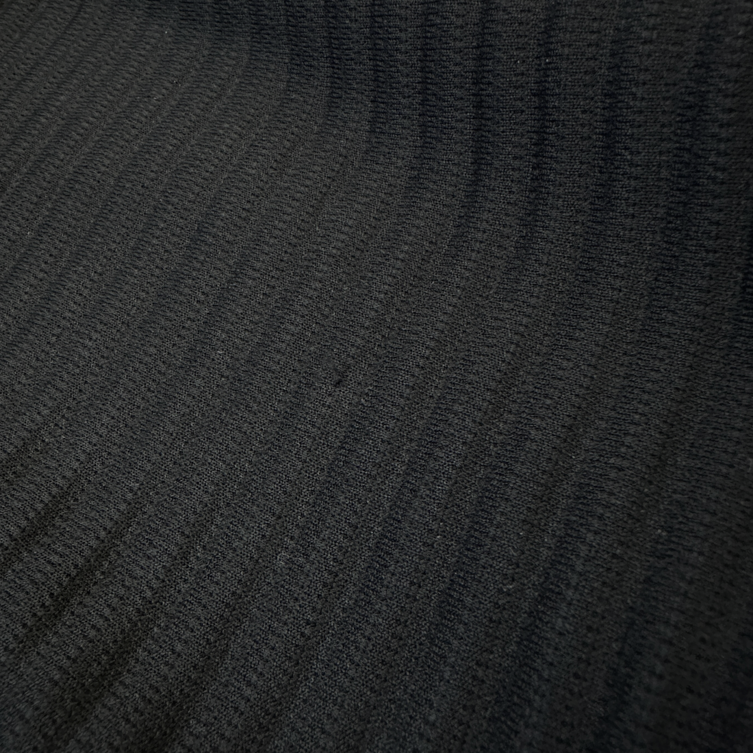 (2) ISSEY MIYAKE HOMME PLISSE WIDE SHORTS