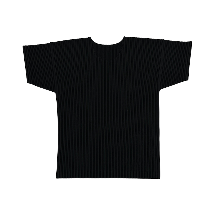 (2) ISSEY MIYAKE HOMME PLISSE T-SHIRT