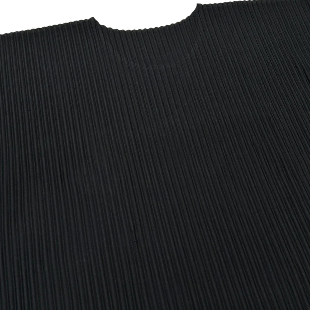(2) ISSEY MIYAKE HOMME PLISSE TOP