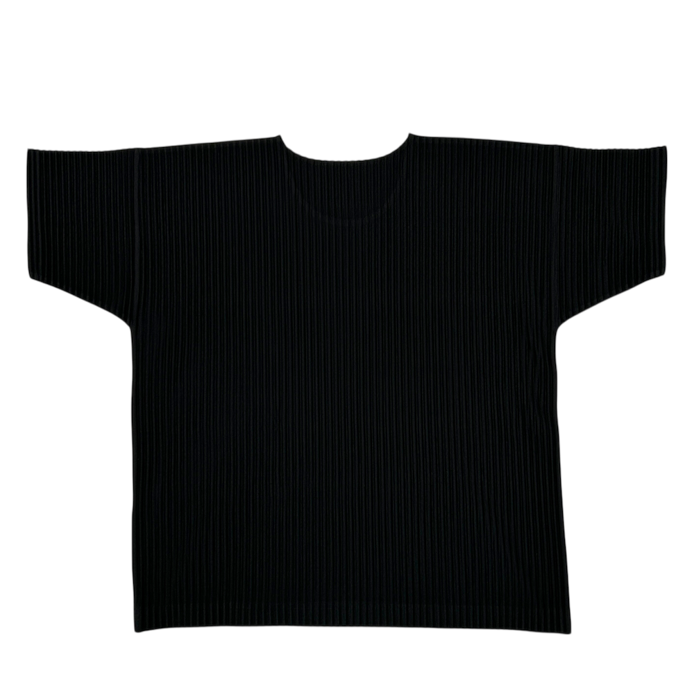 (2) ISSEY MIYAKE HOMME PLISSE TOP
