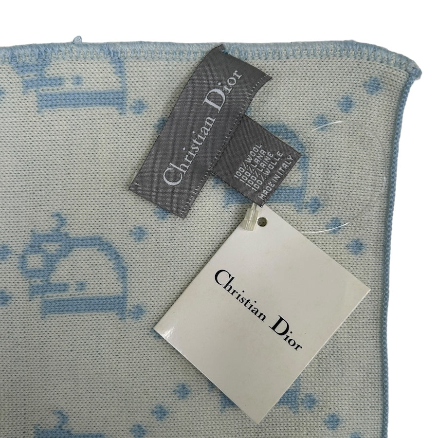 (NEW) DIOR BABY BLUE TROTTER MONOGRAM SCARF