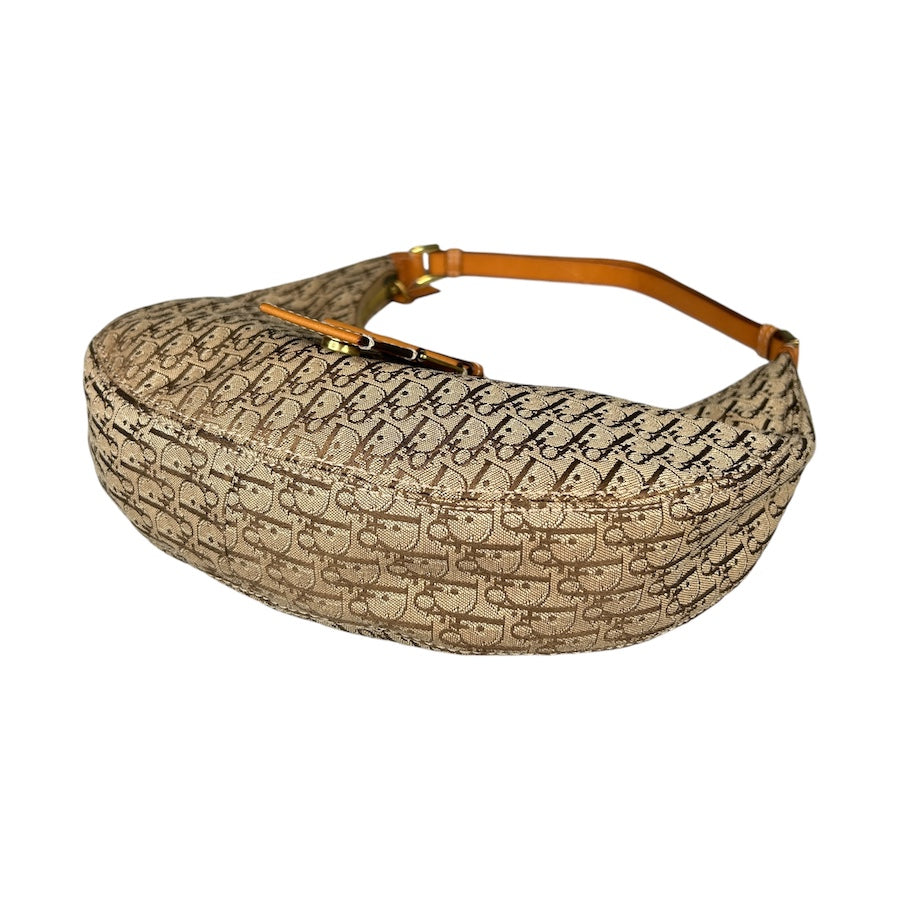 DIOR 2003 TROTTER CANVAS CRESCENT BAG 93UIU